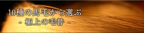 10種の馬毛から選ぶ- 極上の毛替 -